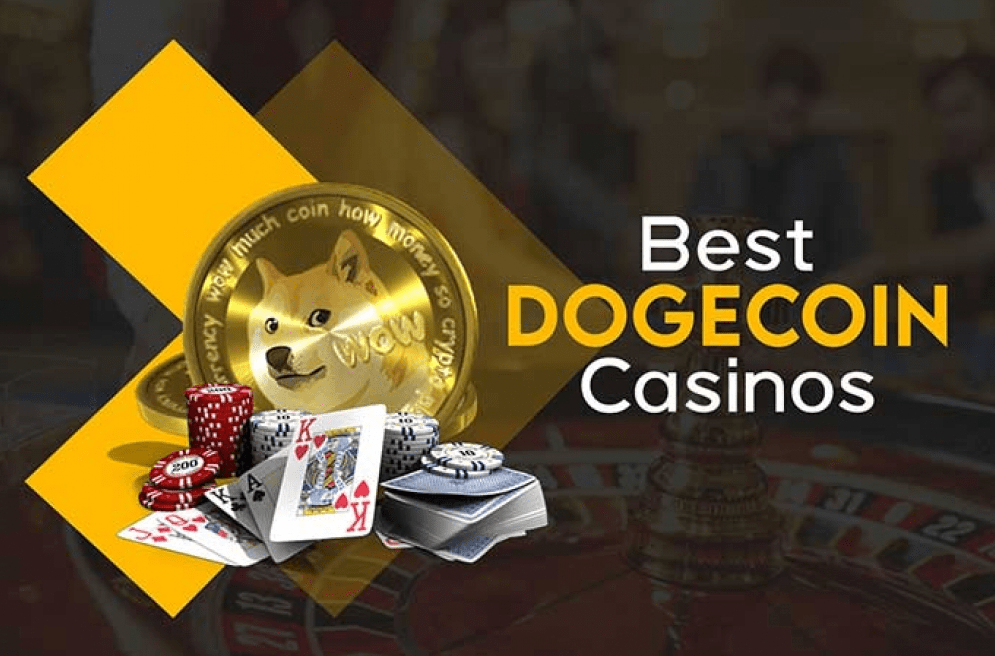 beste doge casinos
